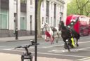 Pa Londonas ielām skraida asiņains zirgs un viņa partneris