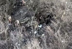 Krievu okupanti pie Bahmutas nogalina ukraiņu karagūstekņus (18+)
